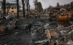 Вторая годовщина Бучи: Зеленский показал душераздирающие кадры