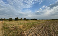 Огороды в Украине / Фото prometei.ua