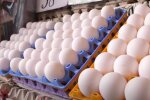 Цены на яйца, прогноз цен