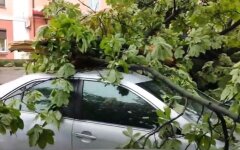Ураган в Полтавской области