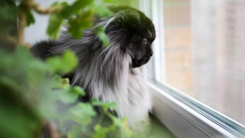 Прогноз погоди в Україні / Фото: Наталка Діденко