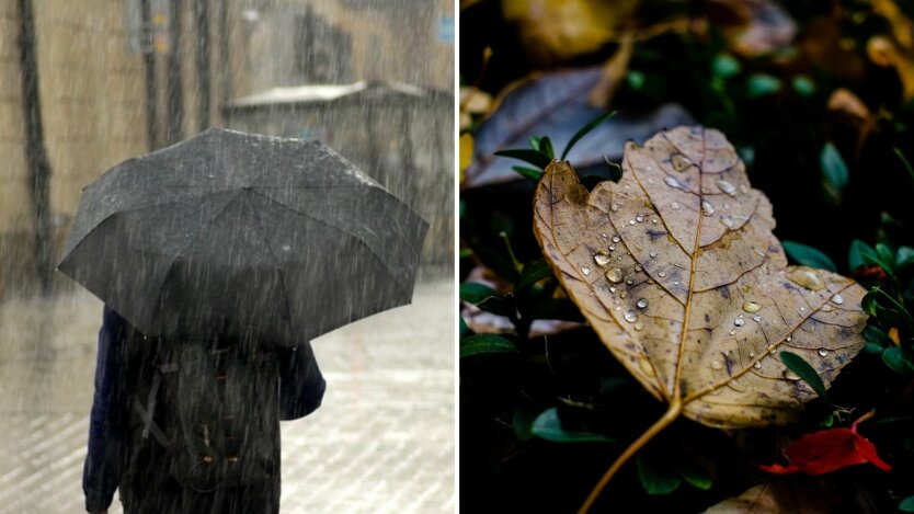 Погода в Украине, дожди в украине, дожди в ноябре