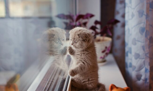 Прогноз погоды в Украине