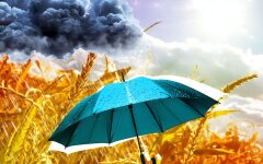 Погода в Украине