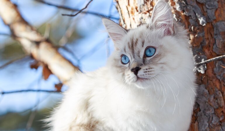 Прогноз погоди в Україні