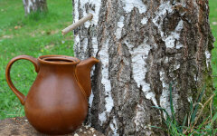 Березовый сок / Фото: Getty Images