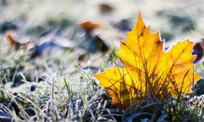 Осень в Украине