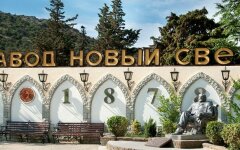 завод Новый свет