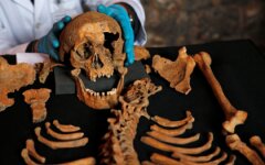 Ученые зафиксировали движение тел людей и животных после смерти