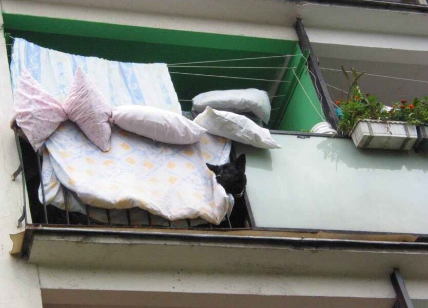 Людей закликали виносити подушки та ковдри на вулицю: чому це важливо