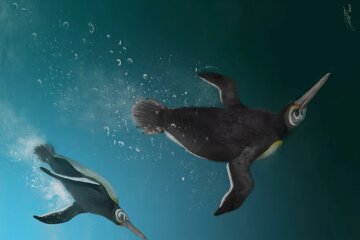 древние пингвины
