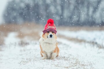 Прогноз погоды в Украине