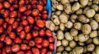 Помідори та картопля