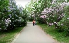 погода в март, погода в Киеве, потепление в Украине