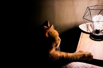 Отключение света