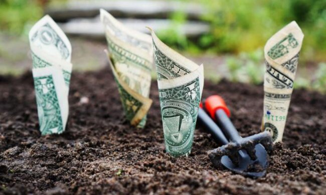 Ціни на землю в Україні