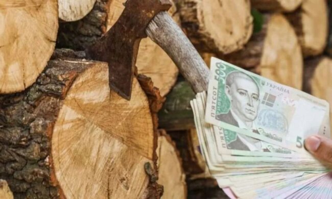 Помощь на отопление / Фото: Getty Images