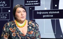 Политический эксперт и экономический обозреватель Светлана Кушнир, Дмитрий Разумков, лишение мандата