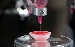 биоинженер  3D-принтер