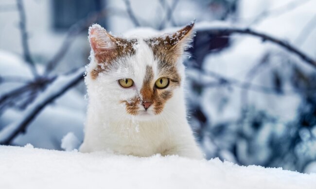 Прогноз погоды в Украине / Фото Depositphotos