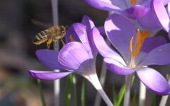 Погода в Украине, погода в Киеве, прогноз погоды