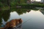 Прогноз погоды в Украине