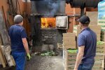 Уничтожение зараженного салата