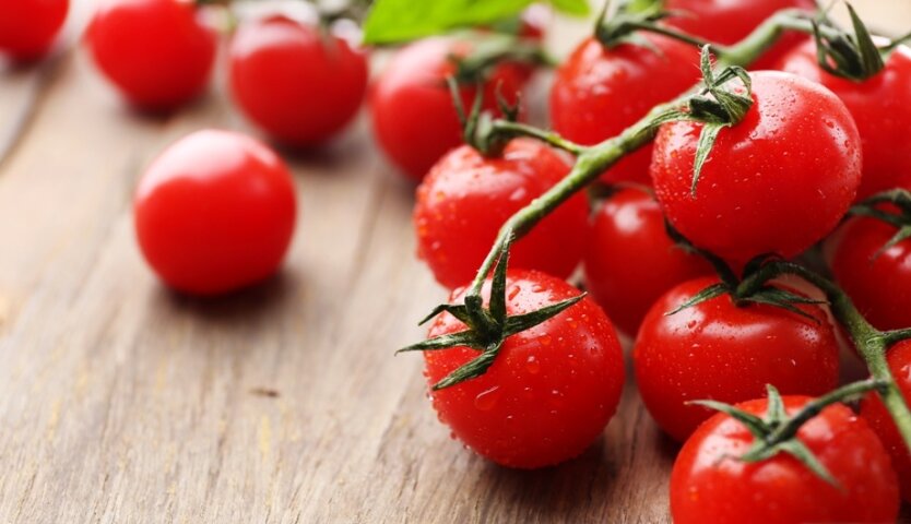 pomidoryi