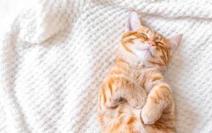 Прогноз погоди в Україні / Фото: Unsplash