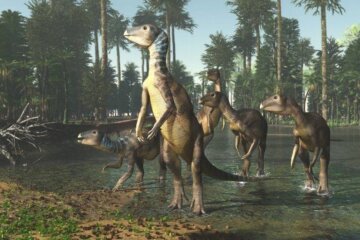 weewarrasaurus-reconstruction
