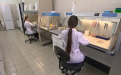 Пандемия коронавируса, конец пандемии, вакцинация