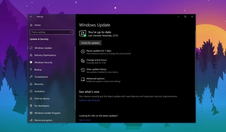 Windows 10 May 2020 Update