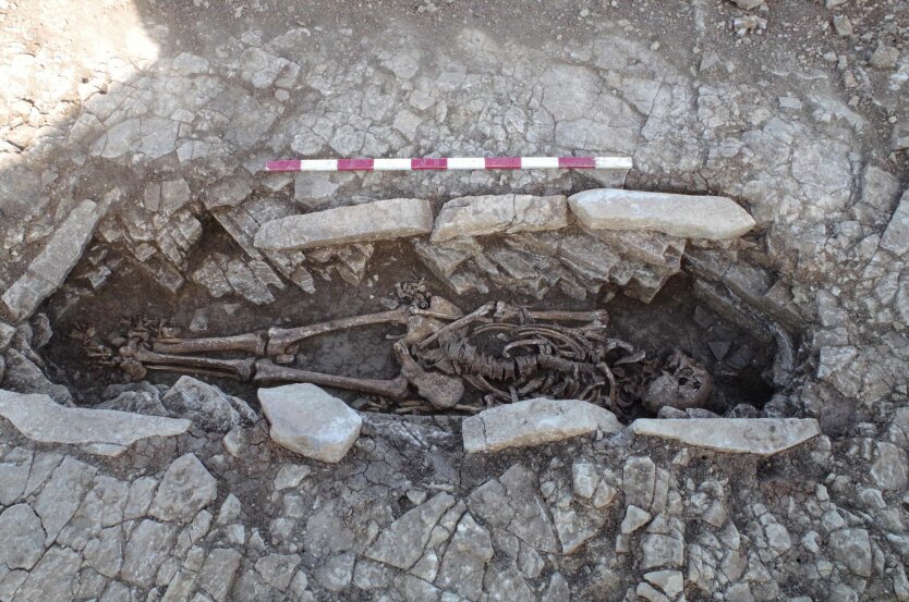 Доисторическое захоронение нашли прямо у стен школы