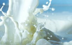 Валентин Запорощук: Семейные фермы помогут спасти молочную отрасль Украины в конкуренции с Польшей