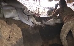 Донбасс, боевики, нарушения