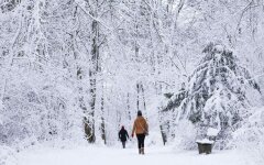 Морозы в Украине, зима в Украине