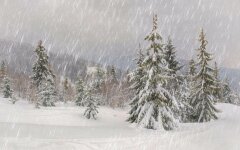 Снегопад в Карпатах, снегопад, мокрый снег