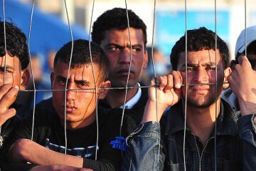 беженцы Сирии