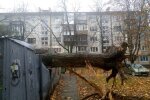 Непогода в Киеве, штормовой ветер
