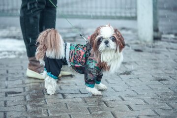 Прогноз погоды