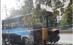 автобус киев