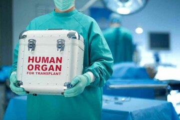 тарифы на трансплантацию органов в Украине,пересадка органов в Украине,стоимость органов в Украине