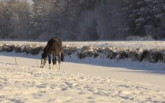 Прогноз погоды в Украине  / Фото из Facebook Людмила Тонконог