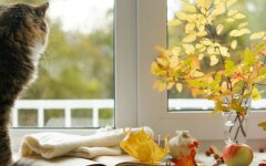 Прогноз погоды в Украине