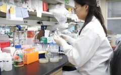 Статистика по заболеваемости коронавирусом в мире,рост заболеваемости Covid-19,ВОЗ