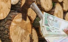 Помощь на отопление / Фото: Getty Images