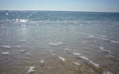 В Одессе запрещено купаться в море