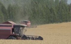 Закон о рынке земли в Украине, Продажа земли в Украине, Покупка земли в Украине