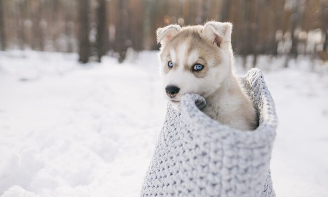 Прогноз погоды в Украине / Фото Depositphotos