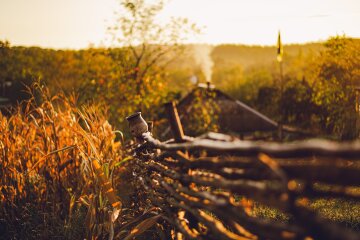 Прогноз погоди в Україні / Фото: 24 канал